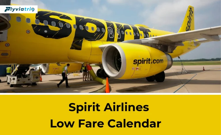 Spirit Airlines Low Fare Calendar
