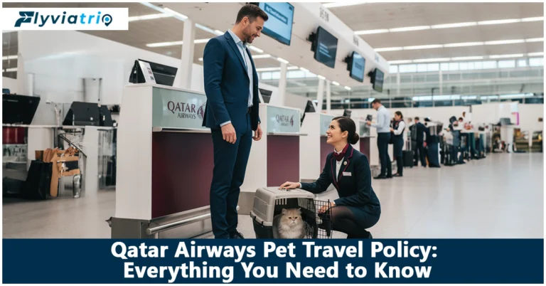 Qatar Airways Pet Policy: A Complete Guide To Flying with Pets