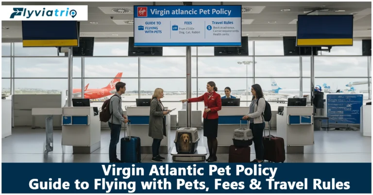 Virgin Atlantic Pet Policy: A Complete Guide to Flying with Pets