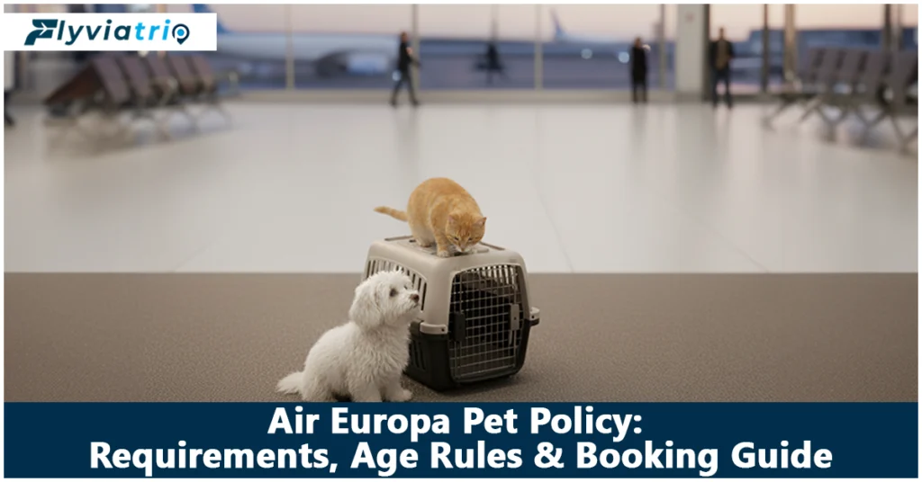 Air Europa Pet Policy