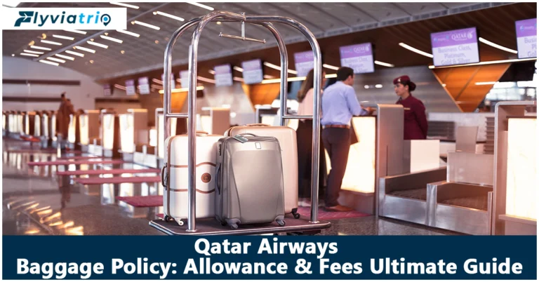 Qatar Airways Baggage : Allowance, Fees & Policy Best Guide