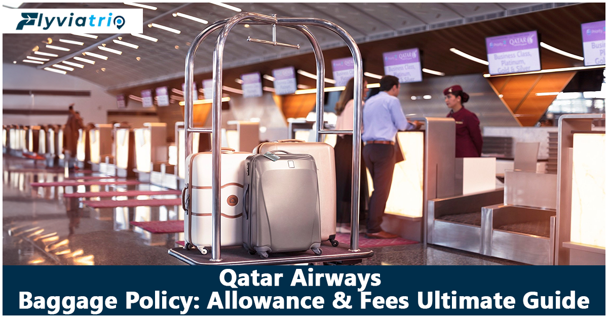 Qatar Airways Baggage Policy: Allowance & Fees, Rule Guide