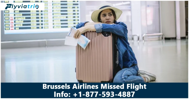 Brussels Airlines Missed Flight : Rules, Refunds & Rebooking