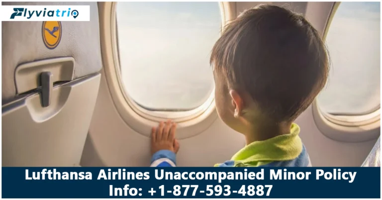 Lufthansa Unaccompanied Minor: A Complete Guide to Policy
