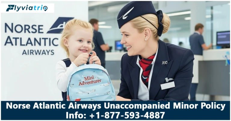 Norse Atlantic Airways Minor Travel Policy – Infants to Teens