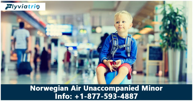 Norwegian Air Unaccompanied Minor Policy