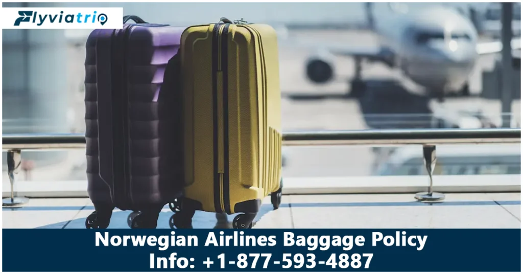 Norwegian Airlines Baggage Policy