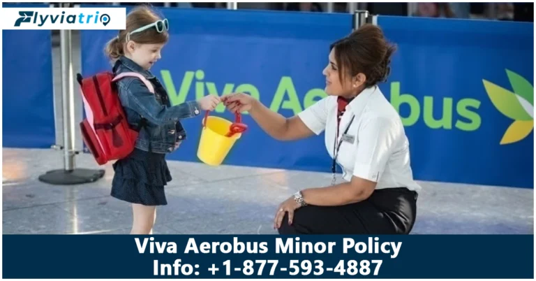 Viva Aerobus Minor Policy – Complete Guide for Parents (2026)
