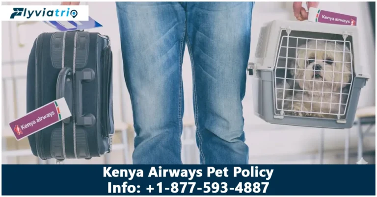 Kenya Airways Pet Policy 2026: Rules, Fees & Requirements