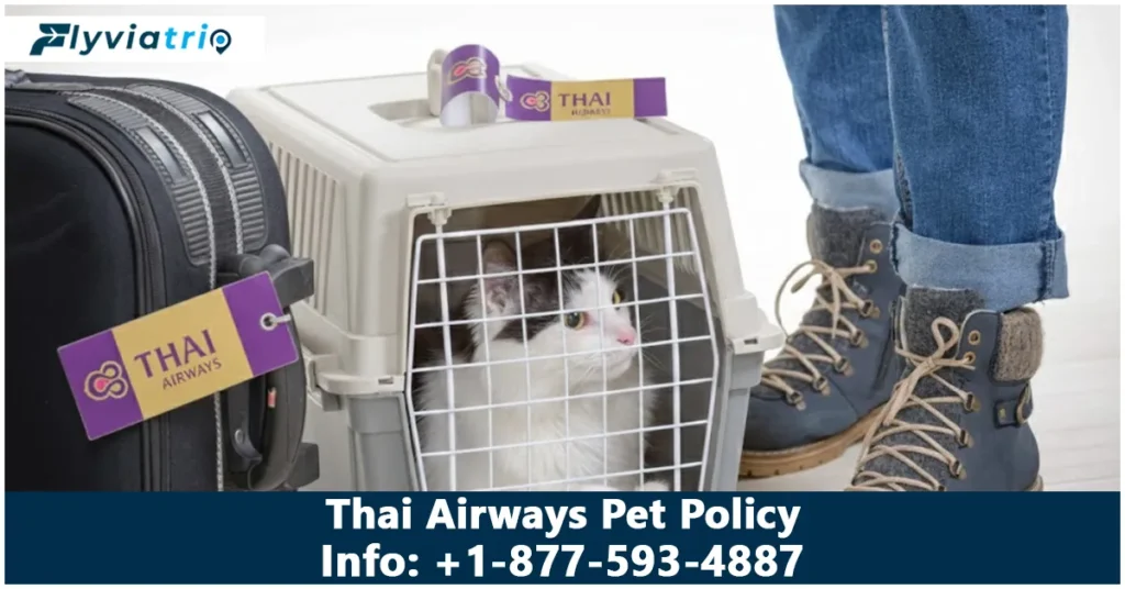 Thai Airways Pet Policy